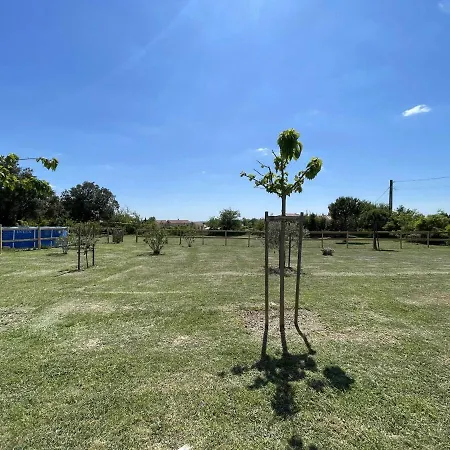 4 Pers Avec Piscine Privee, Grand Terrain, Animaux Admis, Wifi, L'aven - Fr-1-382-207 Orgnac-l'Aven